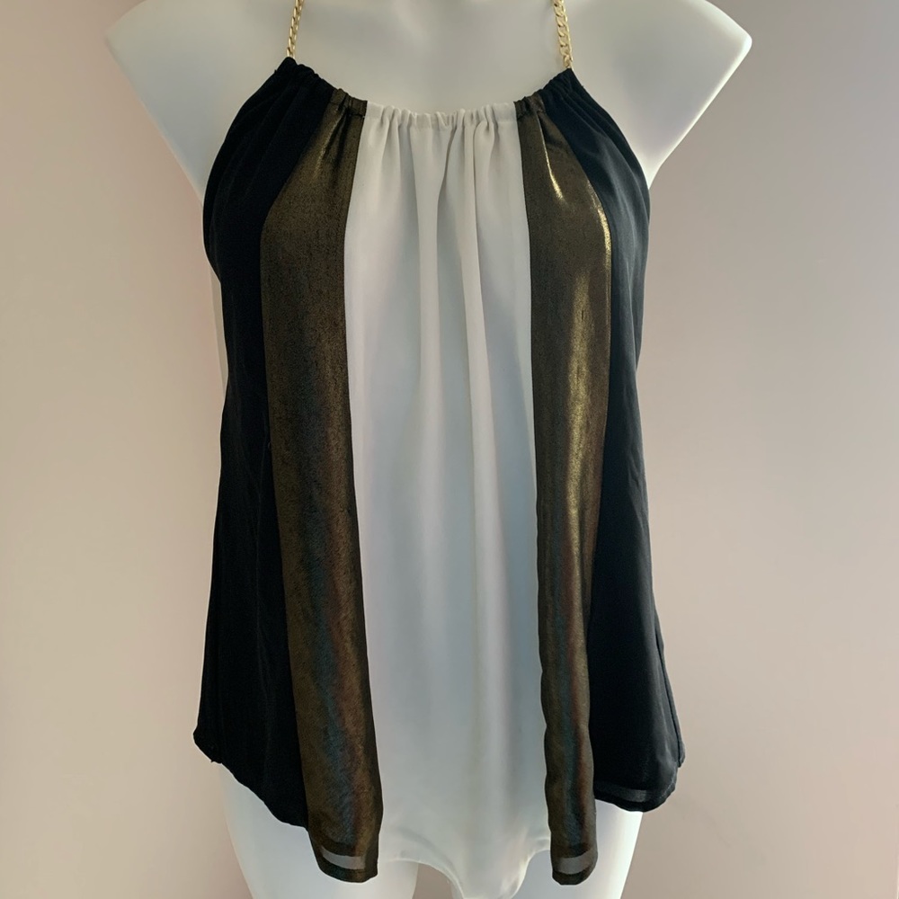 Express flowy chiffon top